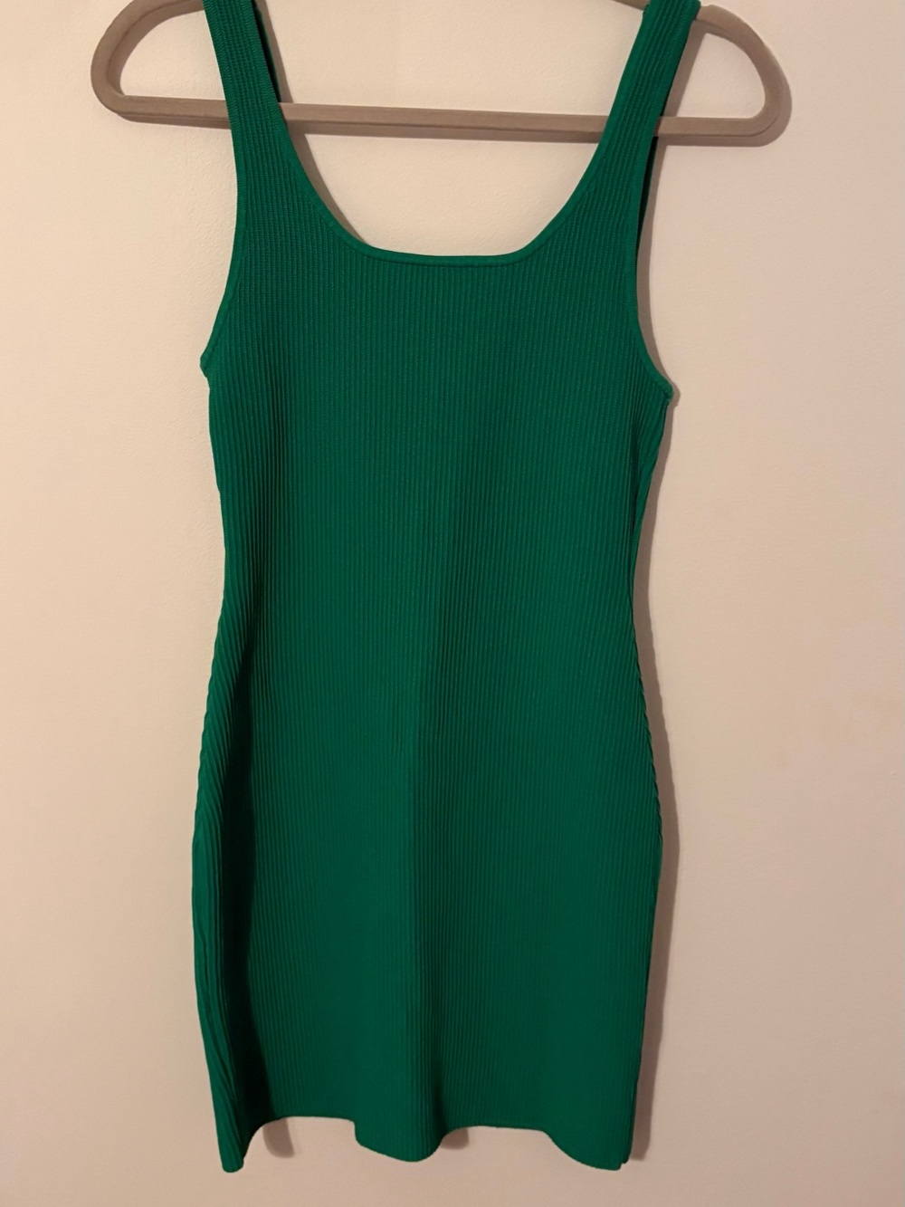 Green bodycon dress from Aritzia